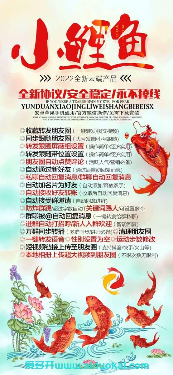 【云端小鲤鱼激活码】云端微信收藏转发【正版月卡季卡年卡】