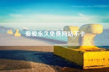 唐老鸭电脑软件免费网站不卡（旅泊网）