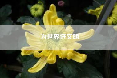 为世界进文明(深空网络咨询公司)