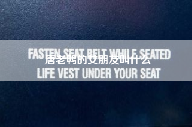 唐老鸭的女朋友叫什么？唐老鸭是谁？