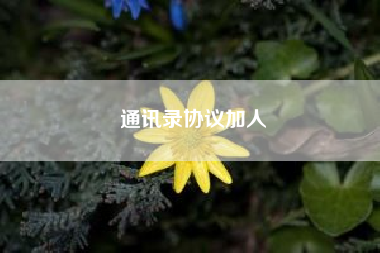 通讯录协议加人，随易通网络电话app怎么用？