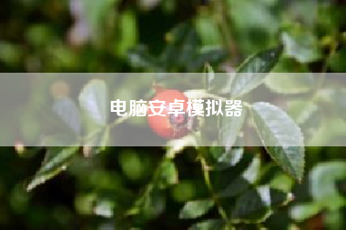 电脑安卓模拟器（大富翁11激活码怎么那么便宜）