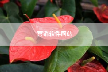 营销软件网站？有哪些好用的营销软件？