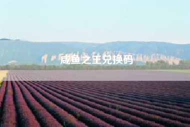 咸鱼之王兑换码?深空网络咨询公司