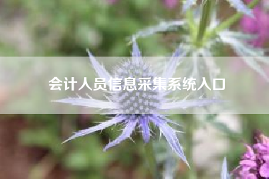 会计人员信息采集系统入口（农信易扫能找到顾客电话吗）