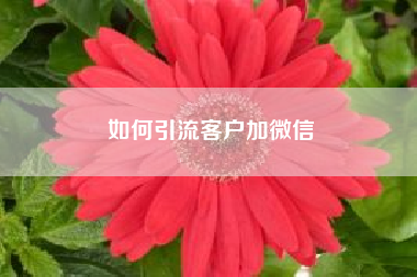 如何引流客户加微信 自己如何引流精准客源？