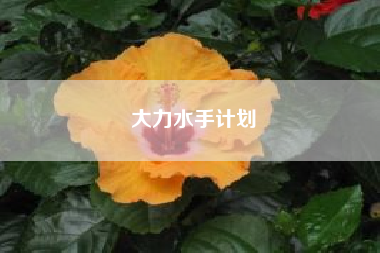 大力水手计划.对身体有什么好处？