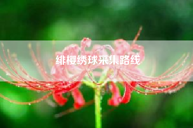 绯樱绣球采集路线~~谁有qq群成员采集器，不用加群就可以提取该群成员资料的?