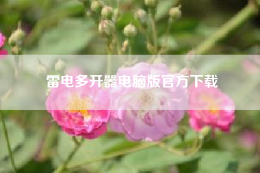 雷电多开器电脑版官方下载—请问手机app软件怎么多开