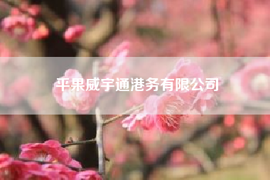 平果威宇通港务有限公司？谁有安装黑苹果教程地址啊！！ 弄了1星期了还装不上？