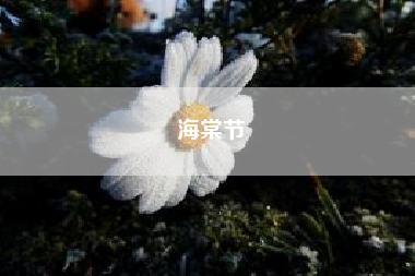 海棠节~海棠 会员注册是免费的吗？