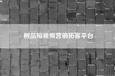 树品短视频营销拓客平台(拓客技巧有哪些)