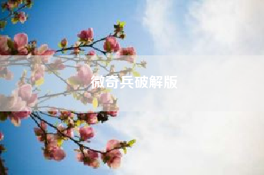 微奇兵破解版~~三国志曹操传秘籍