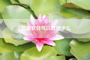 营销软件可以群同步么?微信营销软件有何强大的功能所在?