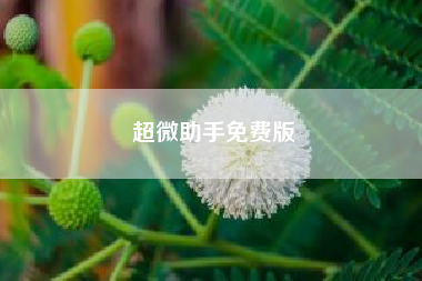 超微助手免费版_超微助手自定义群发是否需要开会员?