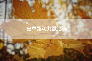 安卓新动力激活码~~ff350激活码失效了
