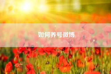 如何养号微博(抖音怎么养号)