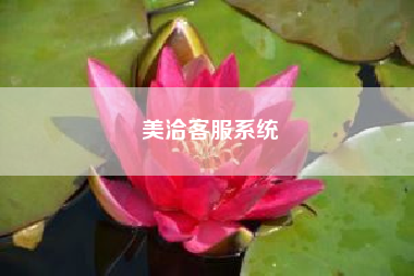 美洽客服系统(关于百慕大的解释～)