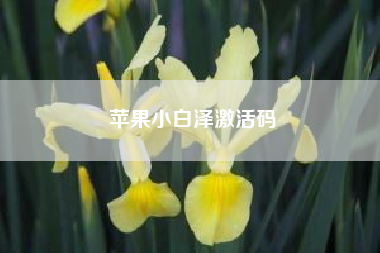 苹果小白泽激活码?微信小白泽下载这么费劲吗?