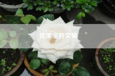 优美家居文案？深空网络咨询公司？
