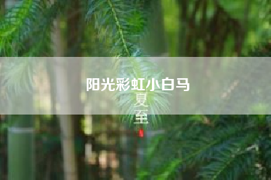 阳光彩虹小白马.彩虹六号激活代码是啥