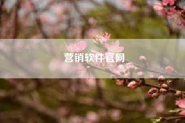 营销软件官网(获客软件排名前十名)