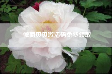 微商贝贝激活码免费领取？微商贝贝怎么不能用了？