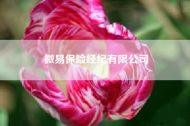 微易保险经纪有限公司？u盘数据恢复软件大师注册码？