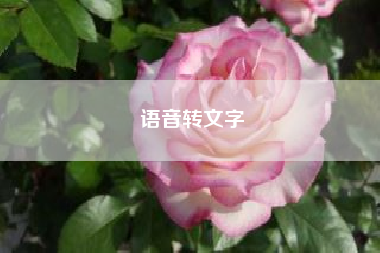 语音转文字、《日本蜡烛图技术》读书笔记（卅二）极性转换原则