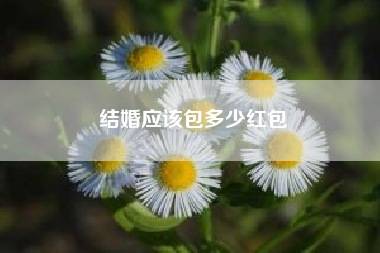 结婚应该包多少红包?红包助手自动抢红包神器，小米手机怎么设置抢红包助手自动抢红包?