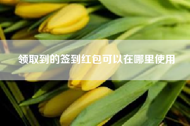 领取到的签到红包可以在哪里使用？手机抢红包卡是什么原因？