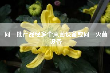 同一批产品经多个灭菌设备或同一灭菌设备 如何设置手机“微信分身”功能，让一部手机同时使用两个微信?