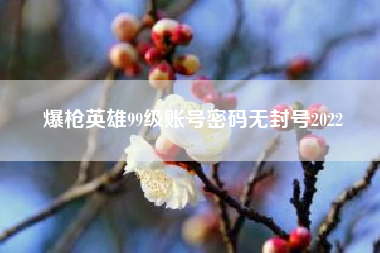 爆枪英雄99级账号密码无封号2022(懂视生活)