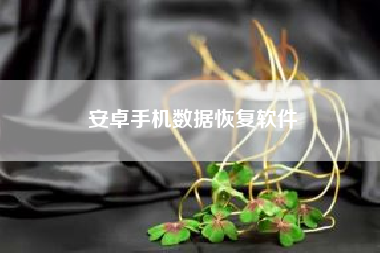 安卓手机数据恢复软件~~多开软件哪个比较好？