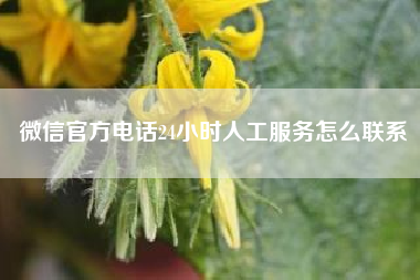 微信官方电话24小时人工服务怎么联系?手机多微信多怎么汇总的解决方案?