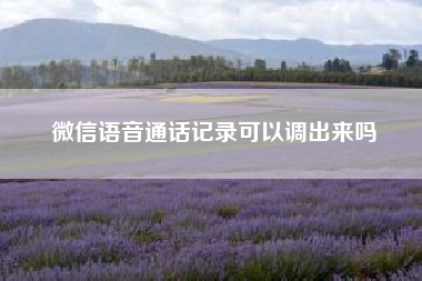 微信语音通话记录可以调出来吗（微信如何进行多人语音通话）