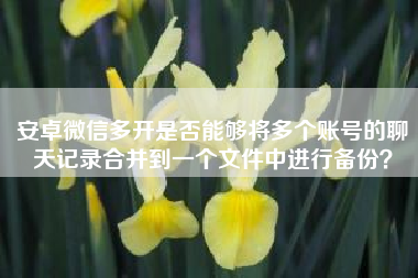 安卓微信多开是否能够将多个账号的聊天记录合并到一个文件中进行备份？?微信分身聊天记录怎么弄到同一个手机的微信?