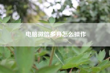 电脑微信多开怎么操作？如何设置微信指纹解锁？