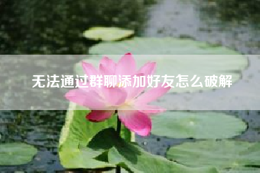 无法通过群聊添加好友怎么破解；手机微信如何建群与加群