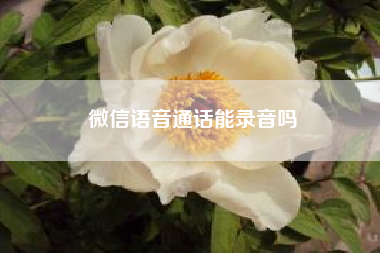 微信语音通话能录音吗__微信分身怎样才能同时接电话，语音呢?