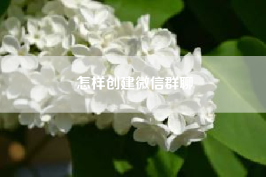 怎样创建微信群聊（怎么建一个新的微信群）