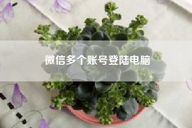 微信多个账号登陆电脑——一个微信里装两个同样的微信好友行吗？