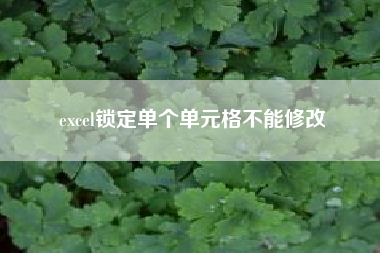 excel锁定单个单元格不能修改……安卓手机怎么登陆多个微信 安卓微信多开?