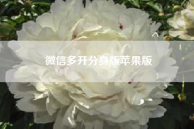 微信多开分身版苹果版?苹果越狱后能够双开应用吗?