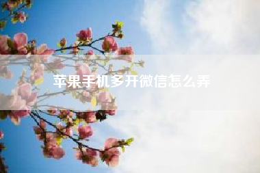 苹果手机多开微信怎么弄-i苹果家庭自动化设置多个传感器