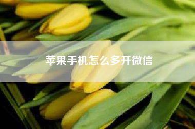 苹果手机怎么多开微信?苹果手机什么多开分身软件好用?