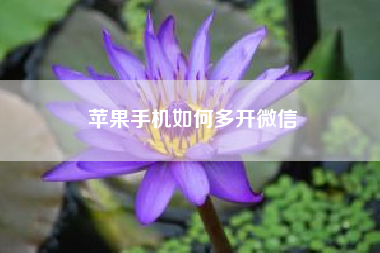 苹果手机如何多开微信？如何评价赵子龙？