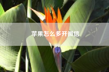 苹果怎么多开微信~~苹果电脑(MacOS)上开发Android程序，兼容性如何？