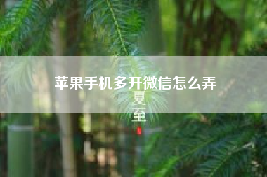 苹果手机多开微信怎么弄（苹果手机打游戏没有声音在哪里调）