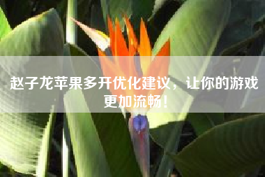 赵子龙苹果多开优化建议，让你的游戏更加流畅！？问一下大神们，熊猫加速器对于用wifi玩手游游戏的有帮助吗？ 例如，王者荣耀。？